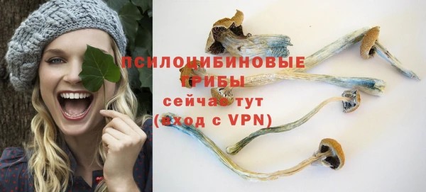 прущий лед Алексин