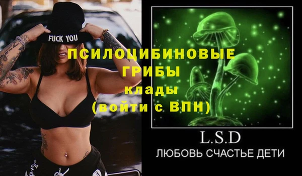 прущий лед Алексин